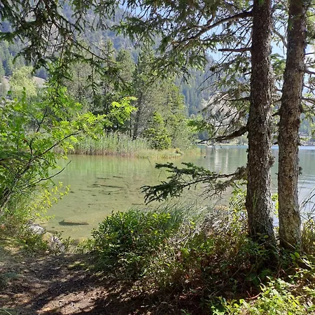 Parc B 431 By Interhome Daire Champex-Lac