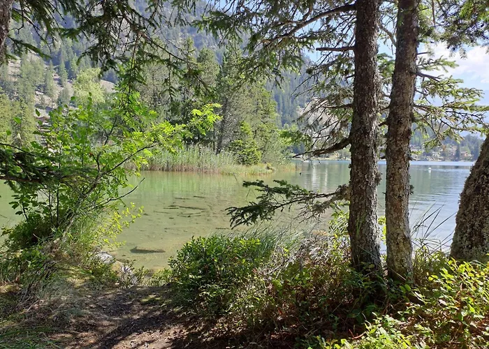 Parc B 431 By Interhome Daire Champex-Lac